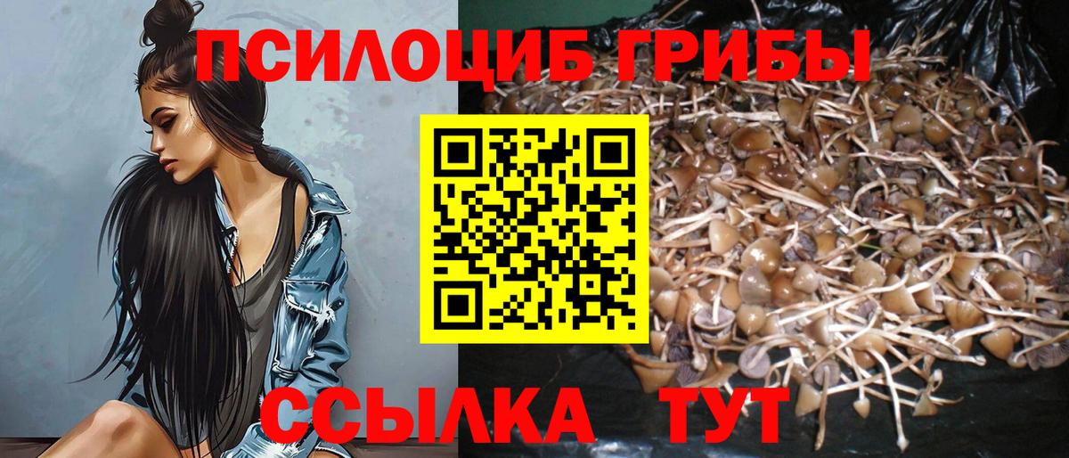 Псилоцибиновые грибы ЛСД Мариинск