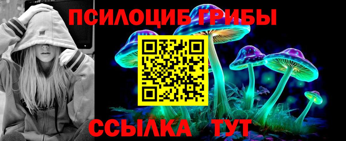 Галлюциногенные грибы Magic Shrooms  Вход с VPN  Псилоцибиновые грибы прущие грибы  Мариинск 